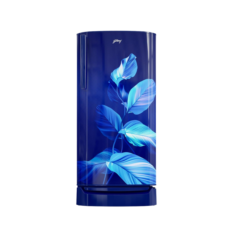 Godrej 180 L 2 Star Direct Cool Single Door Refrigerator – (Model: RD ERIOPLS 205B THF SE BL)